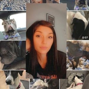 Meet your Posher, Jordan